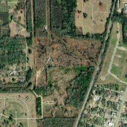 Young Forte Village Alabama High Resolution Satellite Map