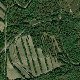 Nuckols Alabama High Resolution Satellite Map