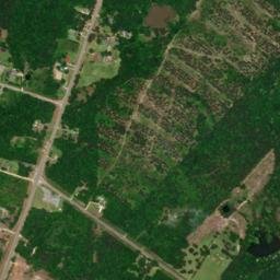 Davisville Alabama High Resolution Satellite Map