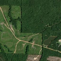 Charles Alabama High Resolution Satellite Map