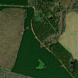 Brookwood Alabama High Resolution Satellite Map