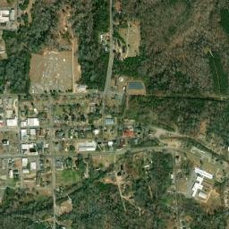 Buena Vista map(satellite map)