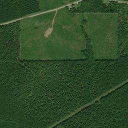 3967-5657 Lake-Norris Road, Lake, MS High Resolution Satellite Map