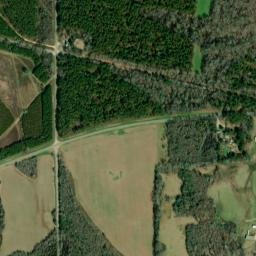 Martin Alabama High Resolution Satellite Map