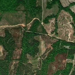 Boromville Alabama High Resolution Satellite Map