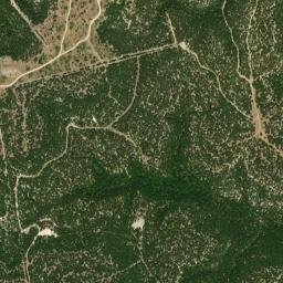 Taylor County map(satellite map)