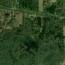 Chesson Alabama High Resolution Satellite Map
