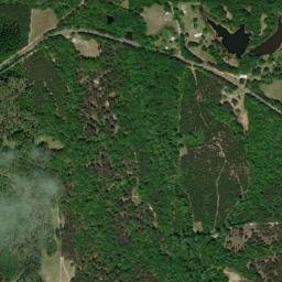 Creek Stand Alabama High Resolution Satellite Map