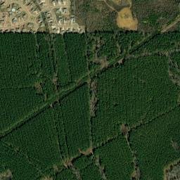 Rankin County map(satellite map)