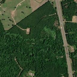 Beckville TX 75631 America High Resolution Satellite Map