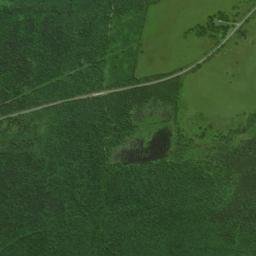 1146 Roberts County Line Road, Bienville National Forest High Resolution Satellite Map