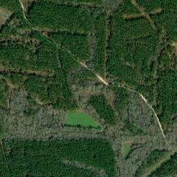 Cobbs Quarters Alabama High Resolution Satellite Map