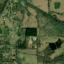 Fitzpatrick Alabama High Resolution Satellite Map