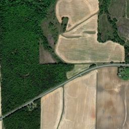 Vienna Highway, Hawkinsville, GA 31036 High Resolution Satellite Map