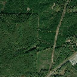 Loflin Alabama High Resolution Satellite Map