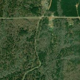 Persons Alabama High Resolution Satellite Map