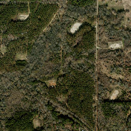 21661 County Road 2147 Troup TX High Resolution Satellite Map
