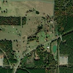 8584 Farm to Market 2517, Carthage, TX High Resolution Satellite Map