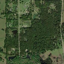 Pine Needles Alabama High Resolution Satellite Map