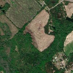Dodge County map(satellite map)