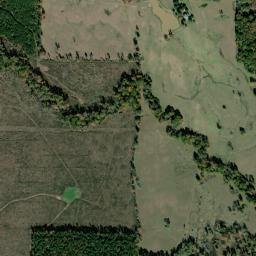 Unnamed Road Logansport LA 71049 High Resolution Satellite Map