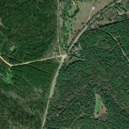 Elm Bluff Alabama High Resolution Satellite Map