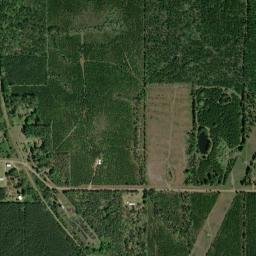 Forster St Ashland LA 71002 America High Resolution Satellite Map