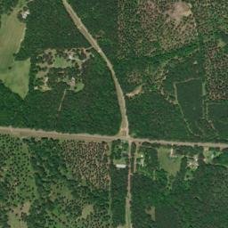 Downing Alabama High Resolution Satellite Map