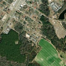 Alamo map(satellite map)