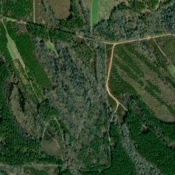 Ellis Alabama High Resolution Satellite Map