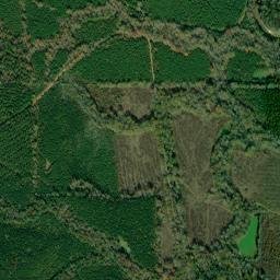 Swink Alabama High Resolution Satellite Map