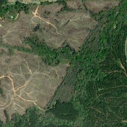 Riderwood Alabama High Resolution Satellite Map