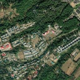 Palampur map(satellite map)