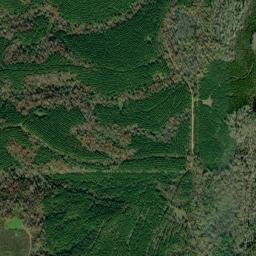 Dawsons Alabama High Resolution Satellite Map