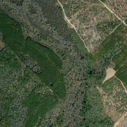 Wheeler County map(satellite map)