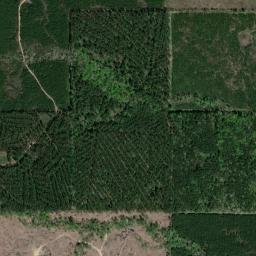 Red River Parish map(satellite map)