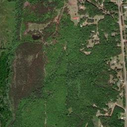 Doyle Alabama High Resolution Satellite Map