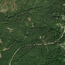 Carlowville Alabama High Resolution Satellite Map