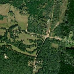 Minter Alabama High Resolution Satellite Map