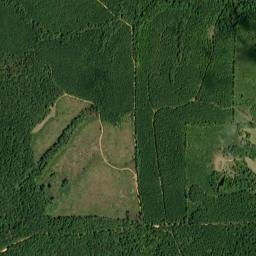 Lum Alabama High Resolution Satellite Map