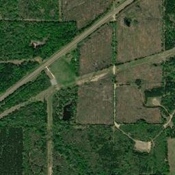 Texas 315, Long Branch, TX 75669, USA High Resolution Satellite Map