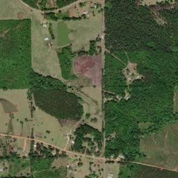 Surginer Alabama High Resolution Satellite Map