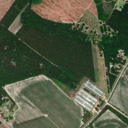 Tattnall County map(satellite map)