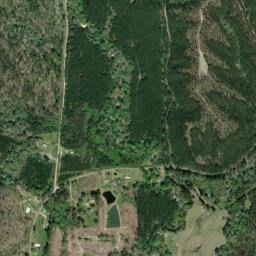 Land Alabama High Resolution Satellite Map