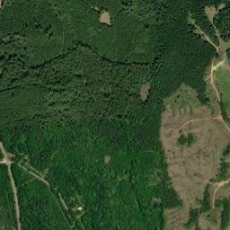 Ackerville Alabama High Resolution Satellite Map