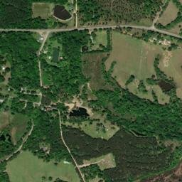 Comer Alabama High Resolution Satellite Map