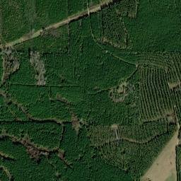 Jasper County map(satellite map)