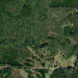 Currys Alabama High Resolution Satellite Map