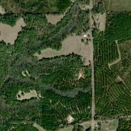 Almeria Alabama High Resolution Satellite Map