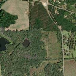 Jenkins Crossroads Alabama High Resolution Satellite Map